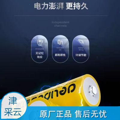 德力普（Delipow） 充电电池 5号电池大容量3300毫安  适用麦克风/ 玩具 遥控器